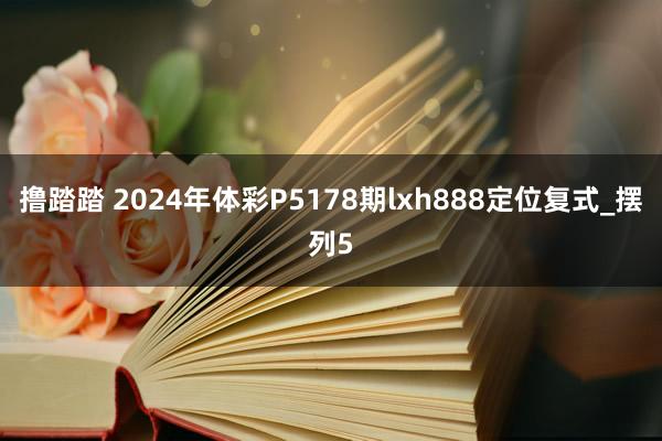 撸踏踏 2024年体彩P5178期lxh888定位复式_摆列5