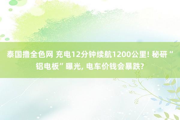 泰国撸全色网 充电12分钟续航1200公里! 秘研“铝电板”曝光， 电车价钱会暴跌?