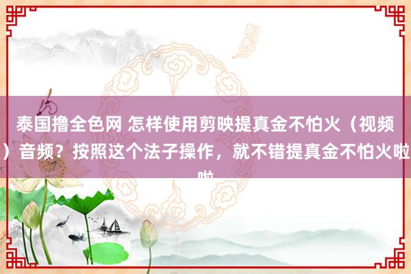 泰国撸全色网 怎样使用剪映提真金不怕火（视频）音频？按照这个法子操作，就不错提真金不怕火啦