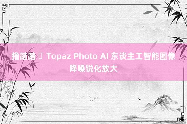 撸踏踏 ​Topaz Photo AI 东谈主工智能图像降噪锐化放大