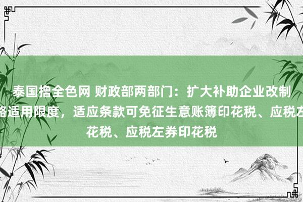 泰国撸全色网 财政部两部门：扩大补助企业改制印花税战略适用限度，适应条款可免征生意账簿印花税、应税左券印花税