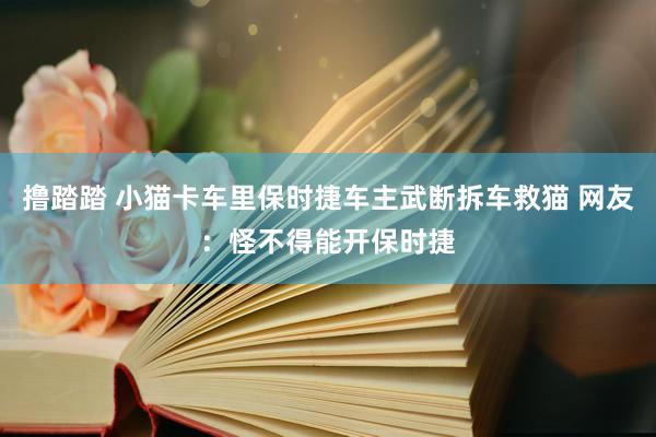 撸踏踏 小猫卡车里保时捷车主武断拆车救猫 网友：怪不得能开保时捷