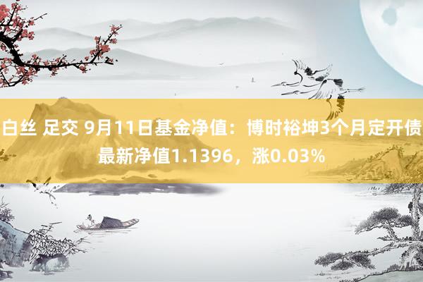 白丝 足交 9月11日基金净值：博时裕坤3个月定开债最新净值1.1396，涨0.03%