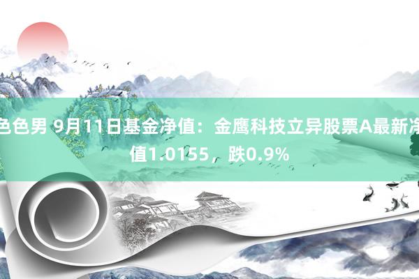 色色男 9月11日基金净值：金鹰科技立异股票A最新净值1.0155，跌0.9%