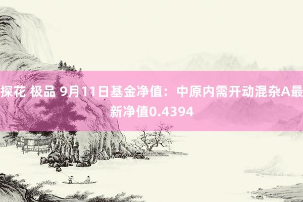 探花 极品 9月11日基金净值：中原内需开动混杂A最新净值0.4394