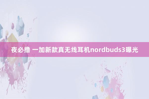 夜必撸 一加新款真无线耳机nordbuds3曝光