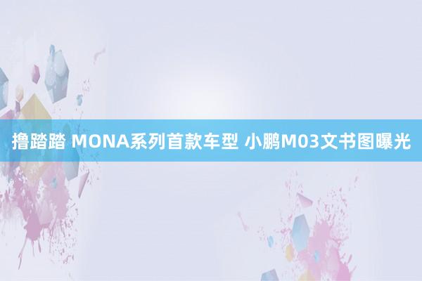 撸踏踏 MONA系列首款车型 小鹏M03文书图曝光