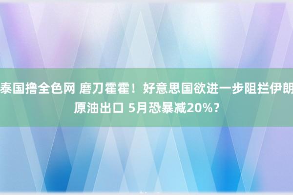 泰国撸全色网 磨刀霍霍！好意思国欲进一步阻拦伊朗原油出口 5月恐暴减20%？