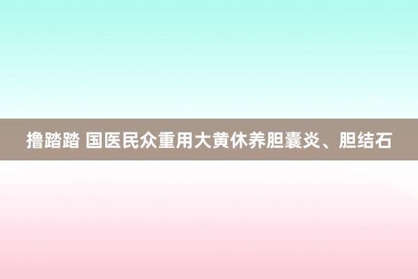 撸踏踏 国医民众重用大黄休养胆囊炎、胆结石