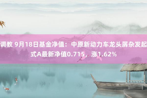 调教 9月18日基金净值：中原新动力车龙头羼杂发起式A最新净值0.715，涨1.62%