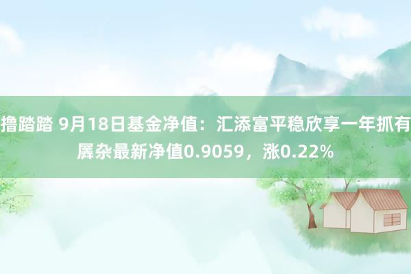 撸踏踏 9月18日基金净值：汇添富平稳欣享一年抓有羼杂最新净值0.9059，涨0.22%