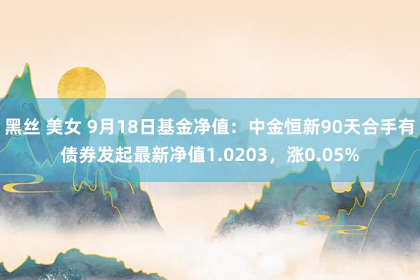 黑丝 美女 9月18日基金净值：中金恒新90天合手有债券发起最新净值1.0203，涨0.05%