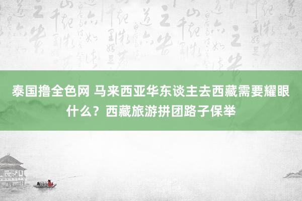 泰国撸全色网 马来西亚华东谈主去西藏需要耀眼什么？西藏旅游拼团路子保举