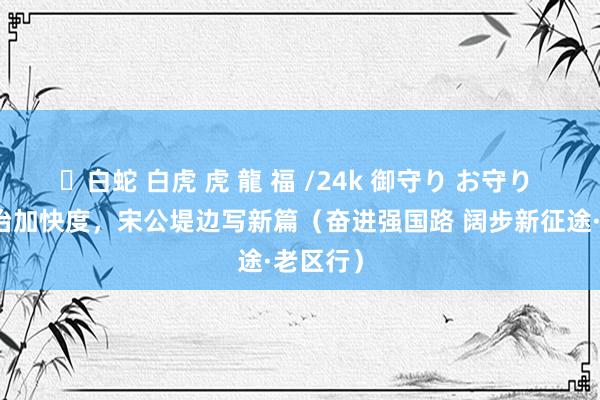 ✨白蛇 白虎 虎 龍 福 /24k 御守り お守り 乡村陶冶加快度，宋公堤边写新篇（奋进强国路 阔步新征途·老区行）