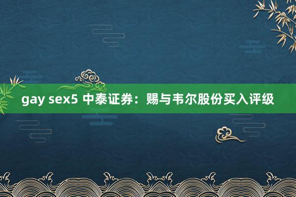 gay sex5 中泰证券：赐与韦尔股份买入评级