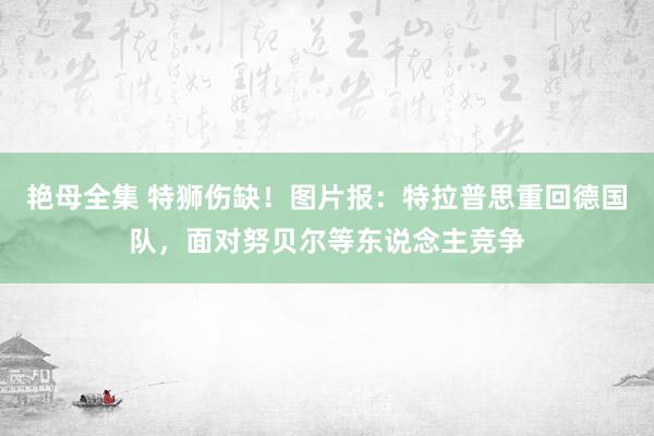 艳母全集 特狮伤缺！图片报：特拉普思重回德国队，面对努贝尔等东说念主竞争