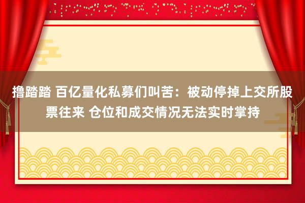 撸踏踏 百亿量化私募们叫苦：被动停掉上交所股票往来 仓位和成交情况无法实时掌持