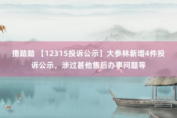 撸踏踏 【12315投诉公示】大参林新增4件投诉公示，涉过甚他售后办事问题等