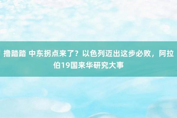 撸踏踏 中东拐点来了？以色列迈出这步必败，阿拉伯19国来华研究大事