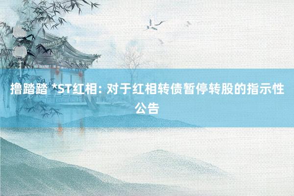 撸踏踏 *ST红相: 对于红相转债暂停转股的指示性公告