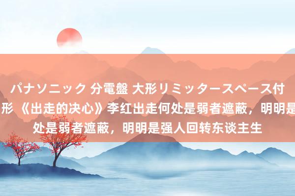 パナソニック 分電盤 大形リミッタースペース付 露出・半埋込両用形 《出走的决心》李红出走何处是弱者遮蔽，明明是强人回转东谈主生