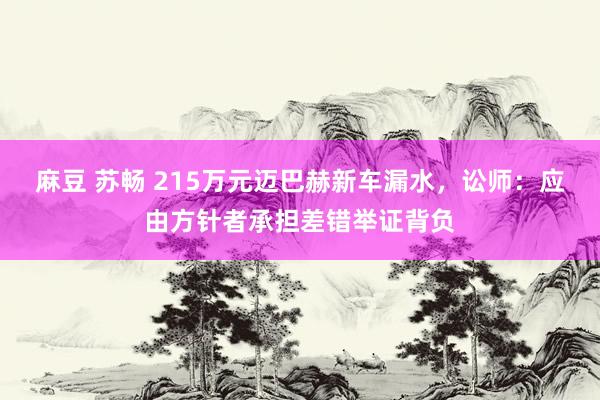 麻豆 苏畅 215万元迈巴赫新车漏水，讼师：应由方针者承担差错举证背负