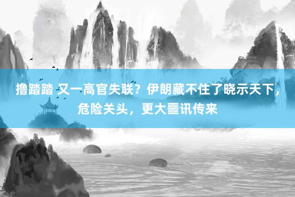 撸踏踏 又一高官失联？伊朗藏不住了晓示天下，危险关头，更大噩讯传来