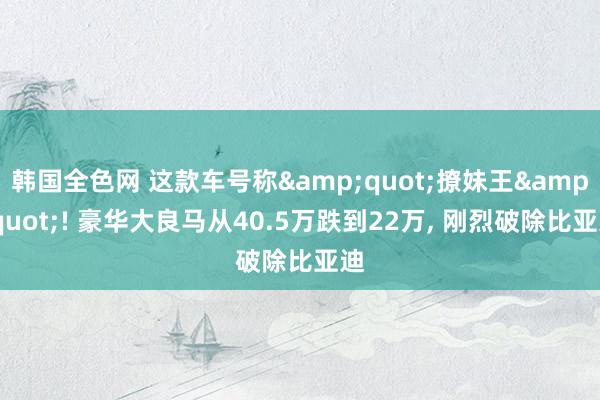 韩国全色网 这款车号称&quot;撩妹王&quot;! 豪华大良马从40.5万跌到22万， 刚烈破除比亚迪