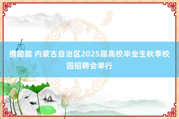 撸踏踏 内蒙古自治区2025届高校毕业生秋季校园招聘会举行