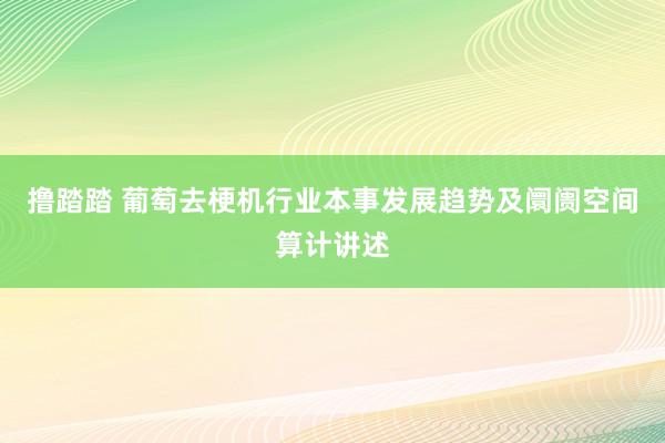 撸踏踏 葡萄去梗机行业本事发展趋势及阛阓空间算计讲述