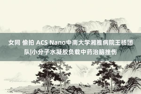 女同 偷拍 ACS Nano中南大学湘雅病院王杨团队|小分子水凝胶负载中药治脑挫伤