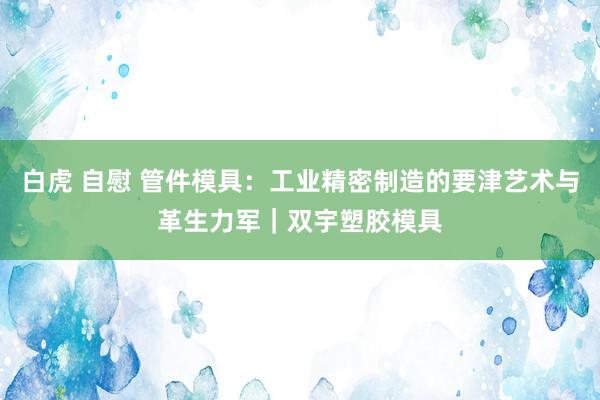 白虎 自慰 管件模具：工业精密制造的要津艺术与革生力军｜双宇塑胶模具