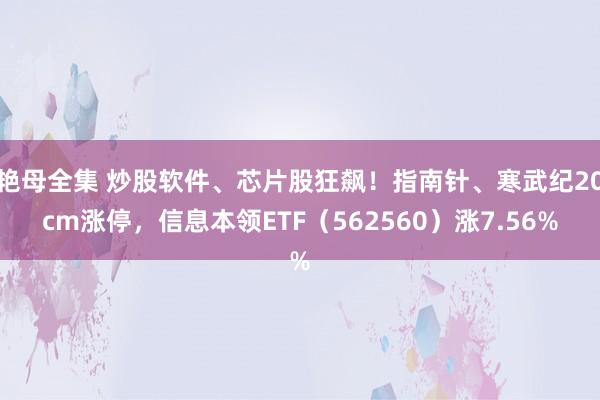 艳母全集 炒股软件、芯片股狂飙！指南针、寒武纪20cm涨停，信息本领ETF（562560）涨7.56%