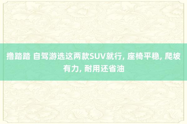 撸踏踏 自驾游选这两款SUV就行， 座椅平稳， 爬坡有力， 耐用还省油