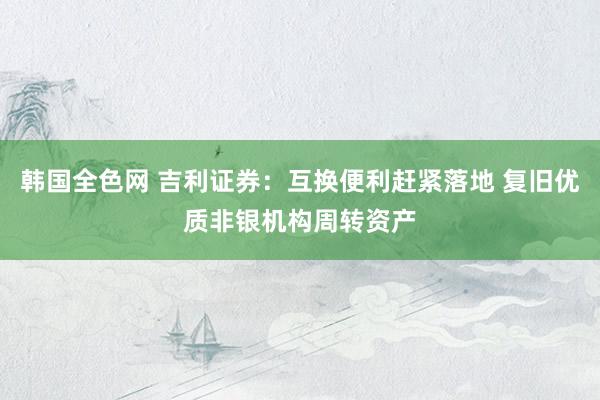 韩国全色网 吉利证券：互换便利赶紧落地 复旧优质非银机构周转资产