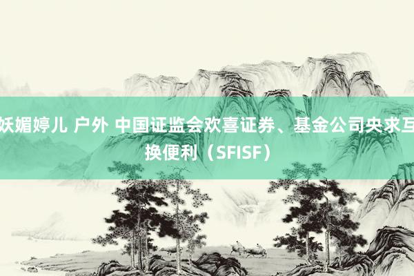 妖媚婷儿 户外 中国证监会欢喜证券、基金公司央求互换便利（SFISF）