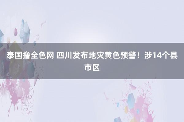 泰国撸全色网 四川发布地灾黄色预警！涉14个县市区