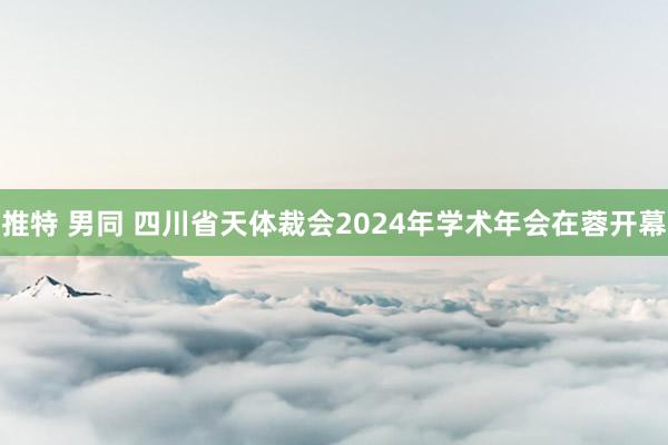 推特 男同 四川省天体裁会2024年学术年会在蓉开幕