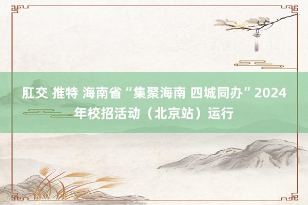 肛交 推特 海南省“集聚海南 四城同办”2024年校招活动（北京站）运行