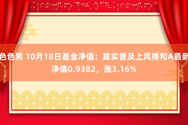 色色男 10月18日基金净值：嘉实普及上风搀和A最新净值0.9382，涨3.16%