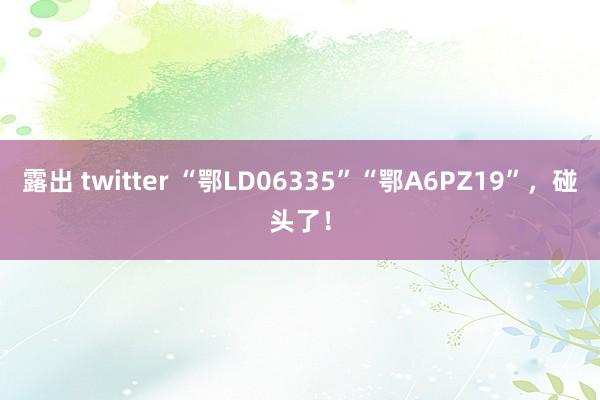 露出 twitter “鄂LD06335”“鄂A6PZ19”，碰头了！