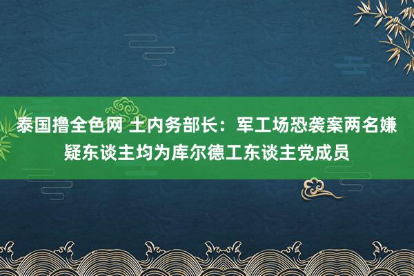 泰国撸全色网 土内务部长：军工场恐袭案两名嫌疑东谈主均为库尔德工东谈主党成员