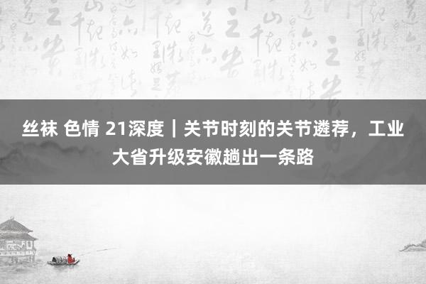 丝袜 色情 21深度｜关节时刻的关节遴荐，工业大省升级安徽趟出一条路