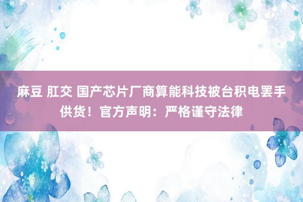 麻豆 肛交 国产芯片厂商算能科技被台积电罢手供货！官方声明：严格谨守法律