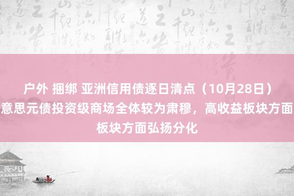 户外 捆绑 亚洲信用债逐日清点（10月28日）：中资好意思元债投资级商场全体较为肃穆，高收益板块方面弘扬分化