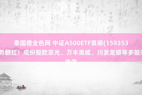 泰国撸全色网 中证A500ETF景顺(159353)强势翻红！成份股欧菲光、万丰奥威、川发龙蟒等多股涨停