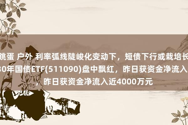 跳蛋 户外 利率弧线陡峻化变动下，短债下行或栽培长端性价比，30年国债ETF(511090)盘中飘红，昨日获资金净流入近4000万元