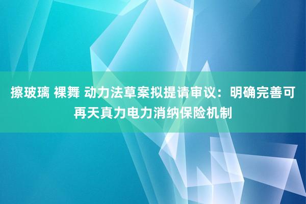 擦玻璃 裸舞 动力法草案拟提请审议：明确完善可再天真力电力消纳保险机制