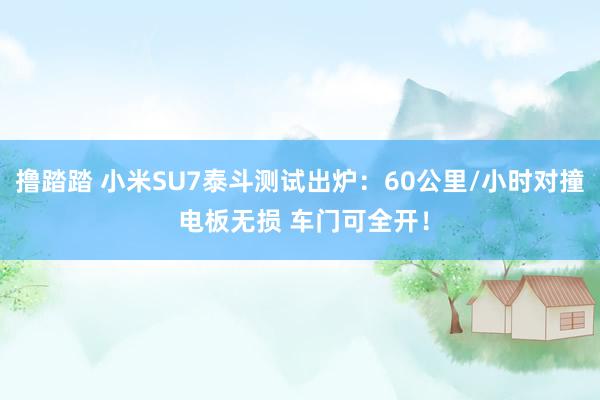 撸踏踏 小米SU7泰斗测试出炉：60公里/小时对撞 电板无损 车门可全开！