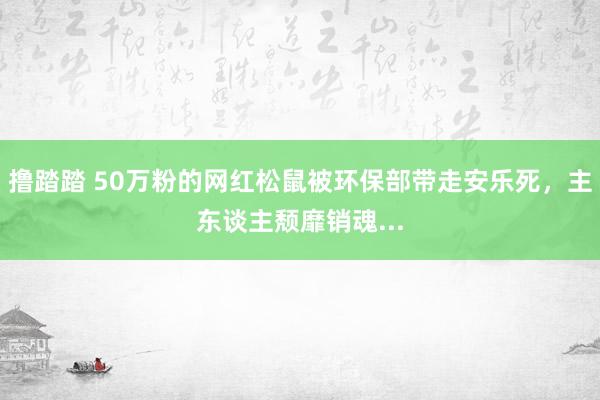 撸踏踏 50万粉的网红松鼠被环保部带走安乐死，主东谈主颓靡销魂...